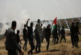   نشرة خاصة: العدد الثامن، نرصد من خلالها أخر التطورات والمواقف وردود الفعل الدولية المتعلقة 