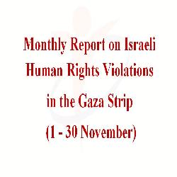 Israeli violations in the Gaza Strip, November 2014